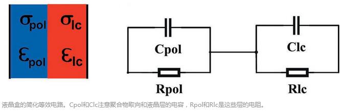 QQ截圖20200622110425.jpg